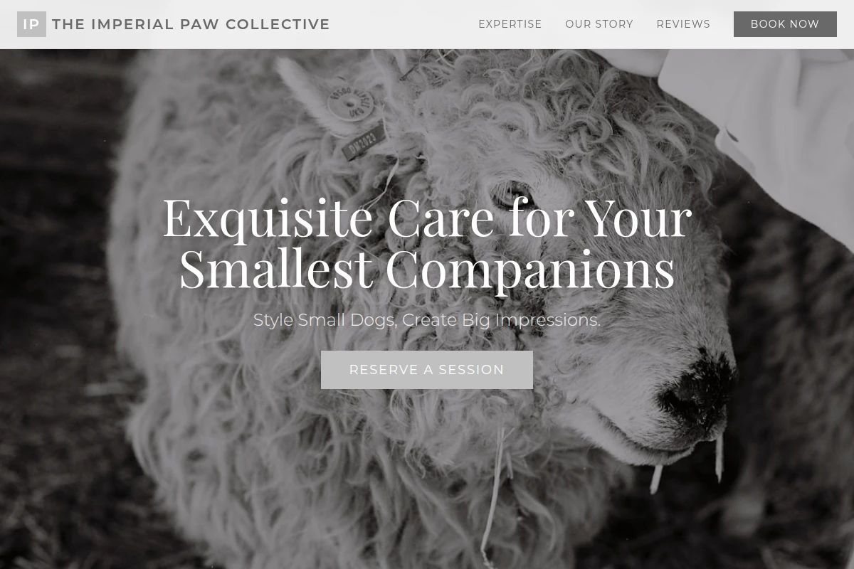 Kawaii Animal Care