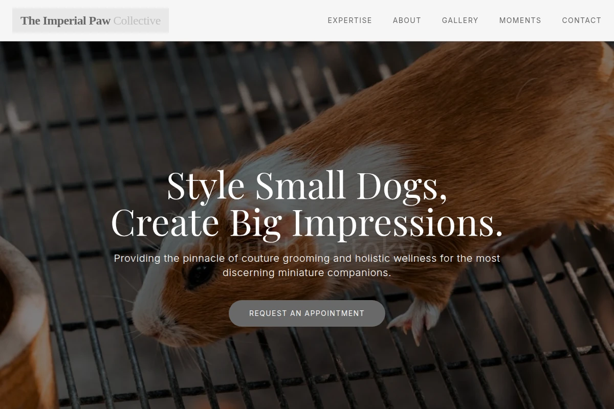 Art Animal Care