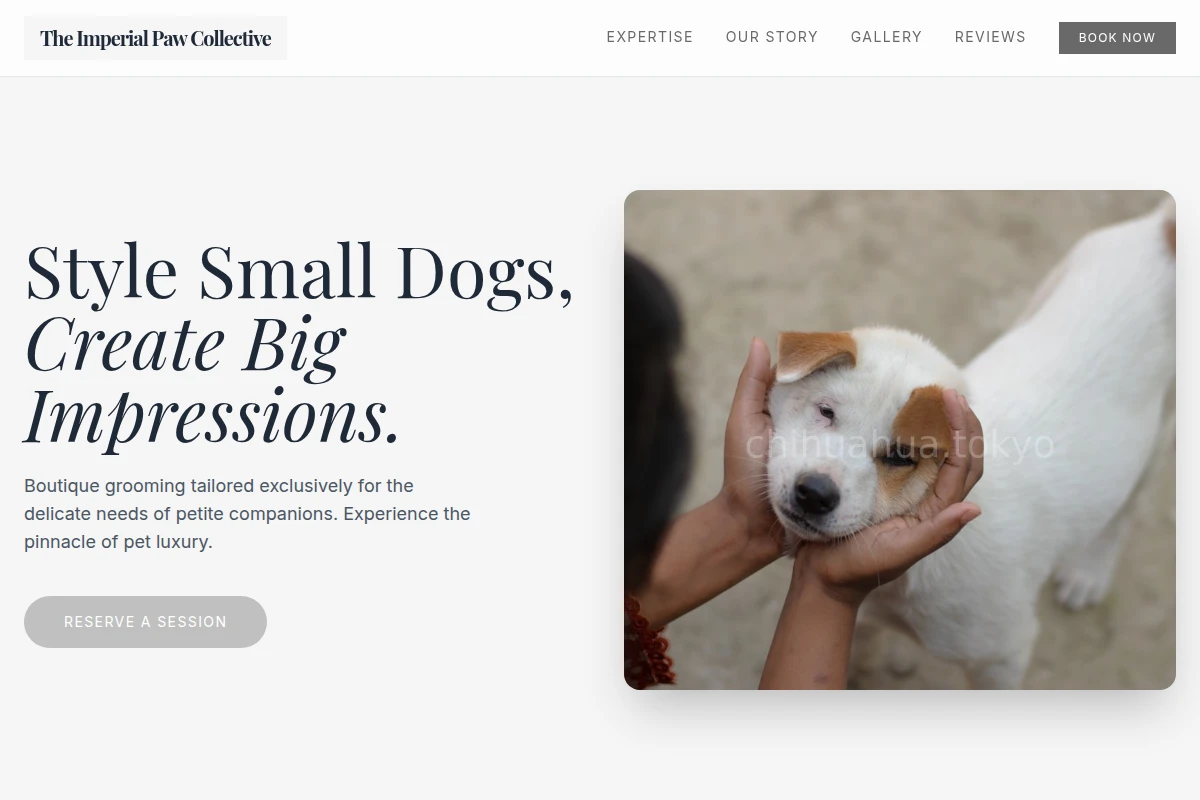 Groom Animal Care