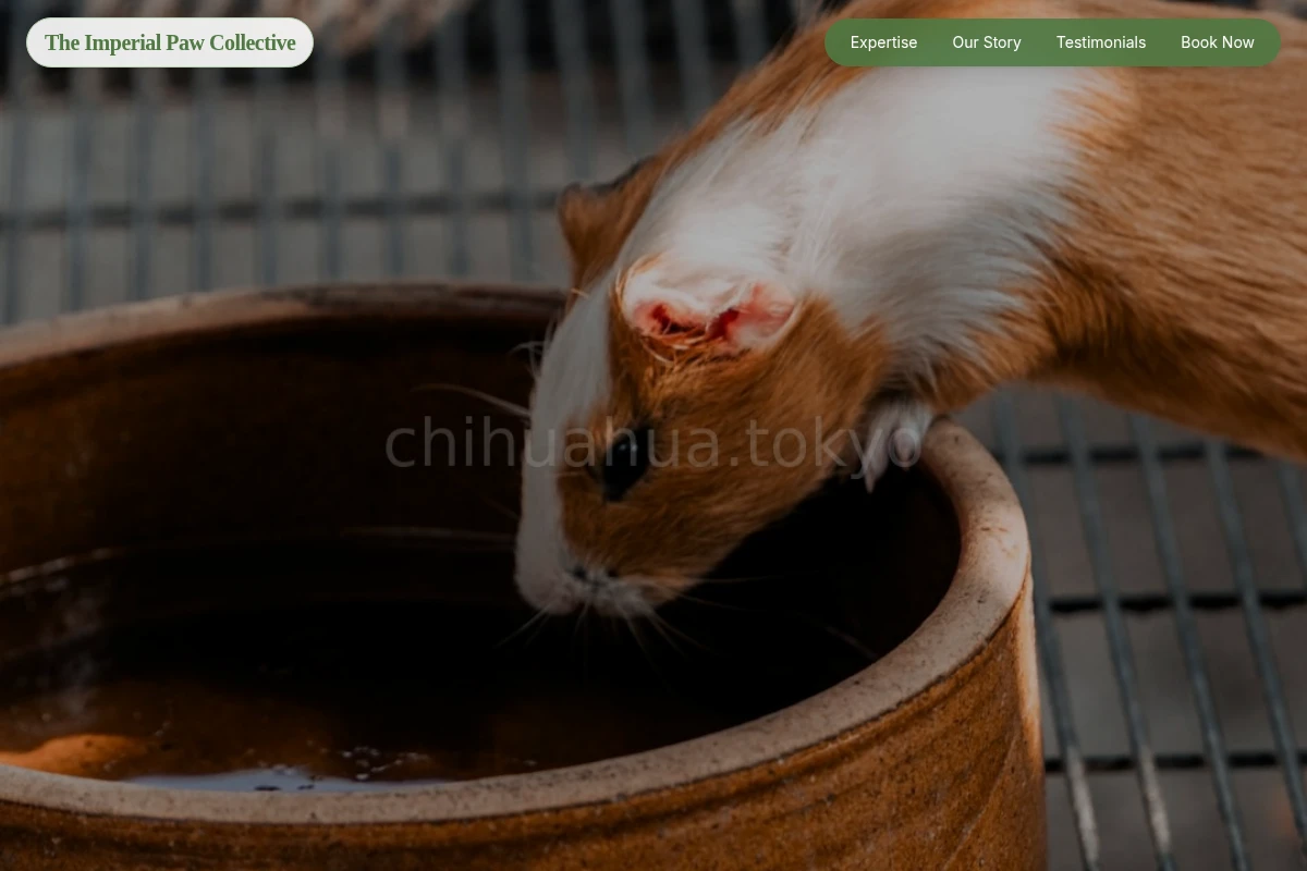 Expert Animal Care