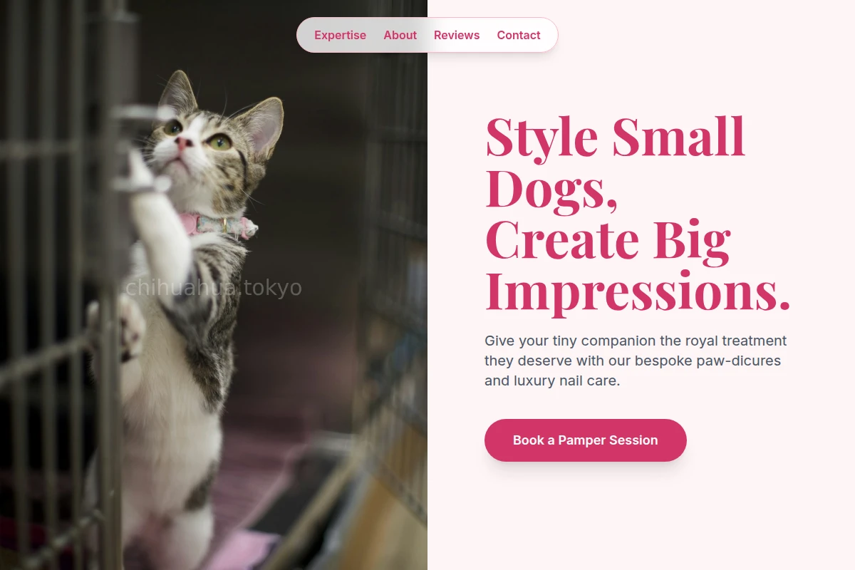Nail Animal Care