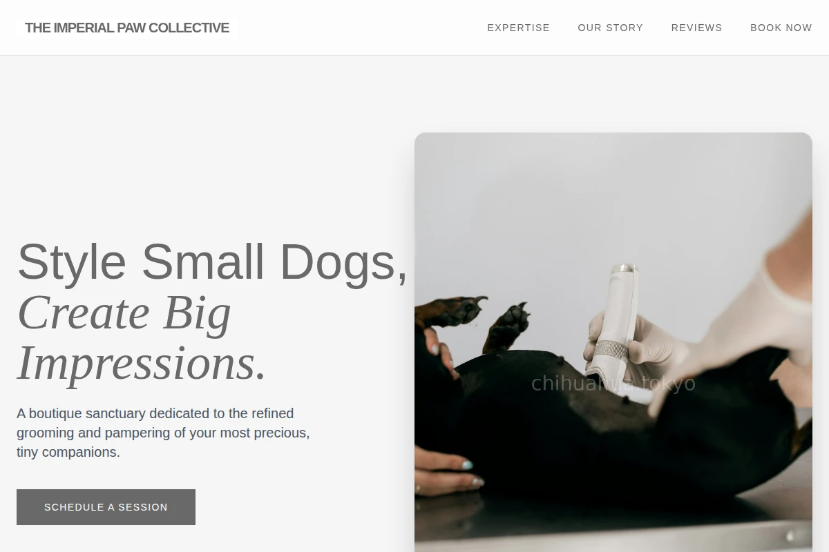 Boutique Animal Care