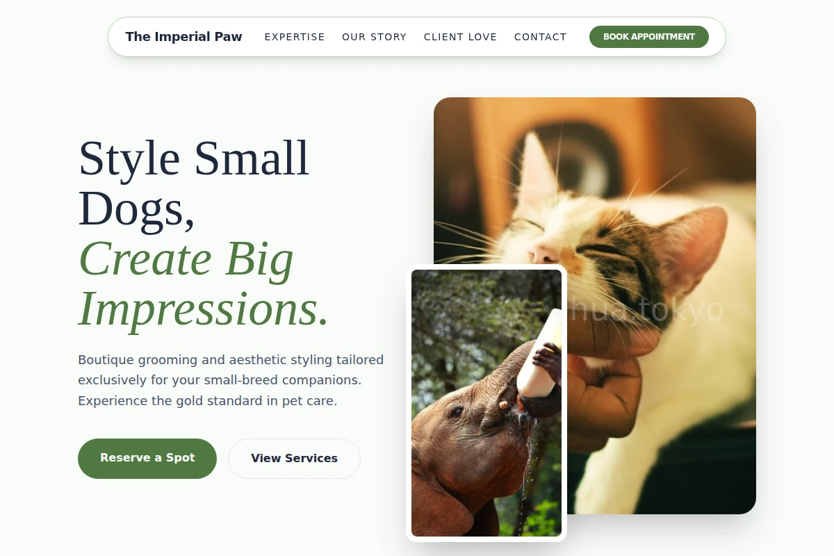 Collar Animal Care