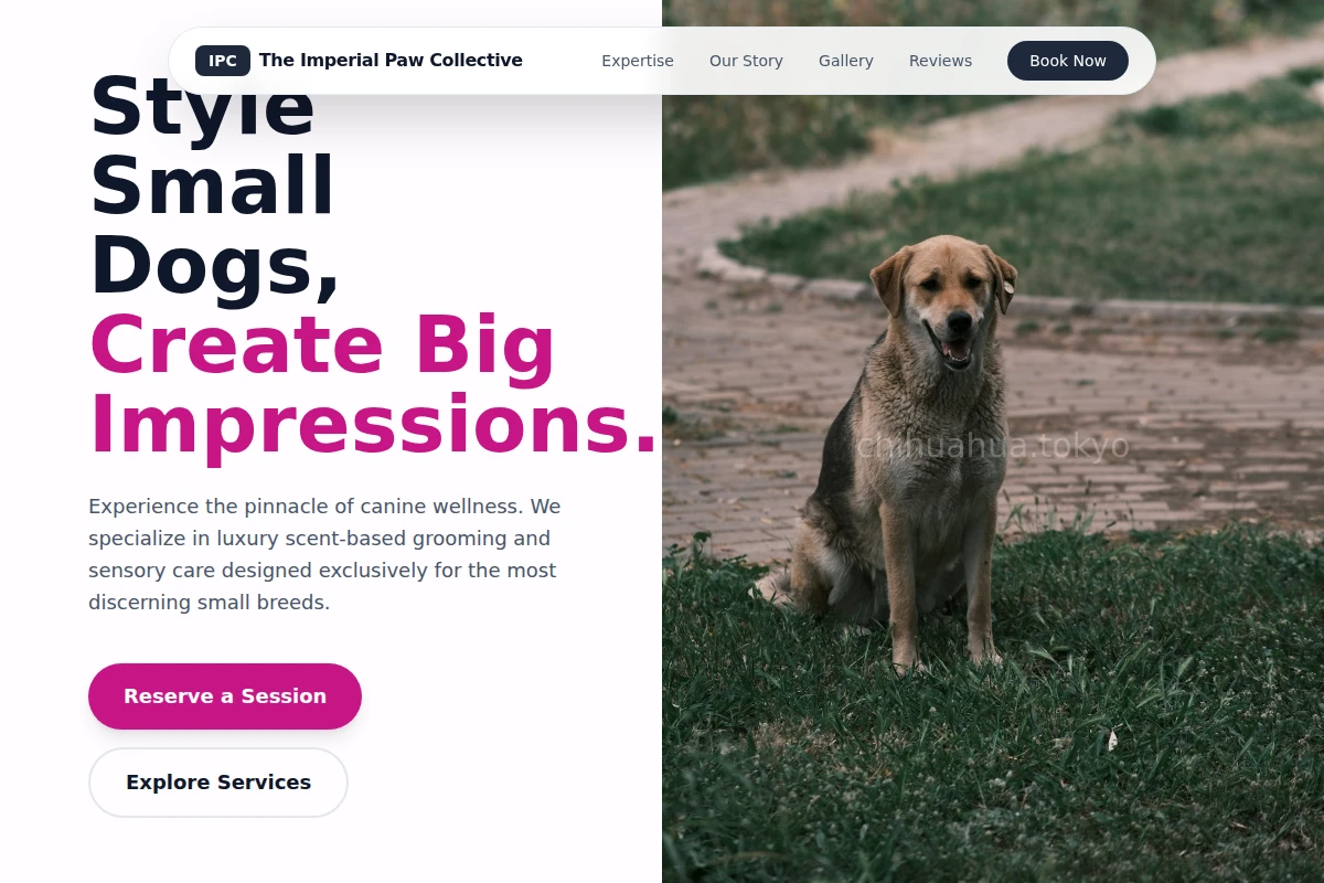 Scent Animal Care