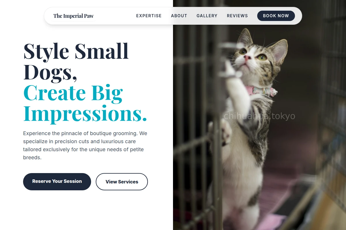 Groom Animal Care