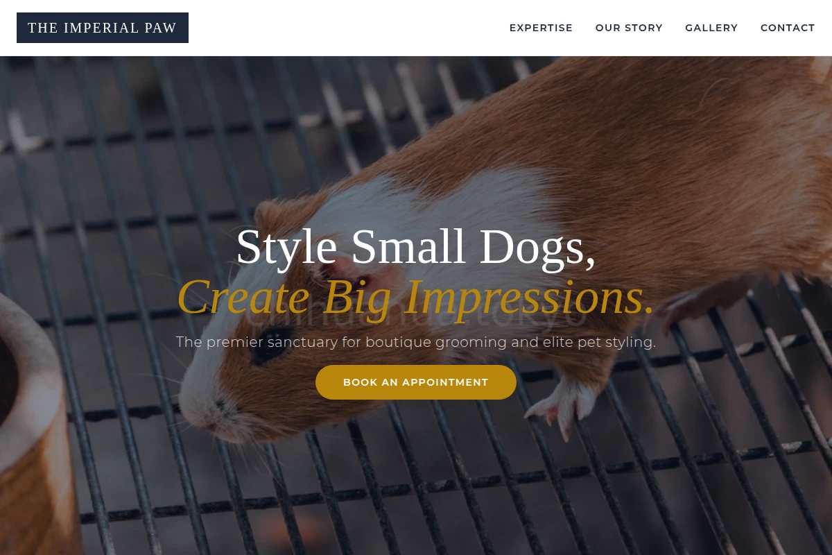 Chic Animal Care
