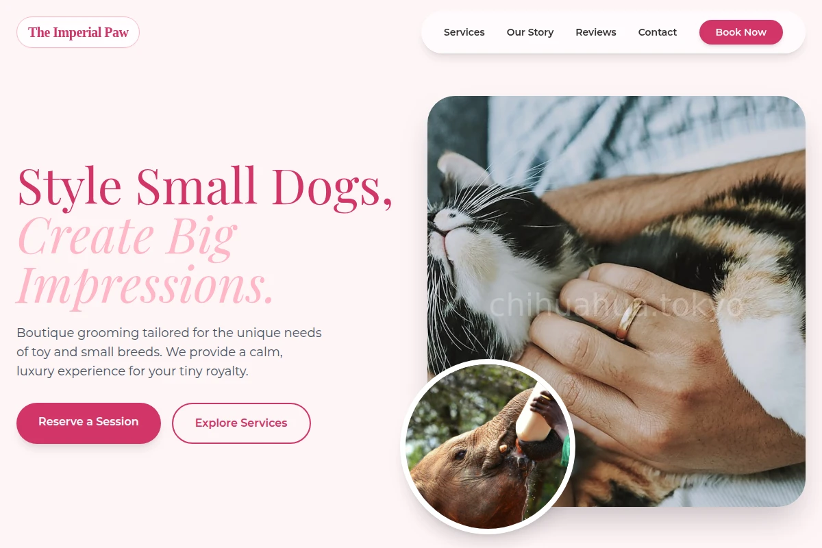 Groom Animal Care