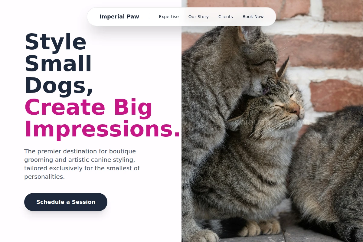 Art Animal Care