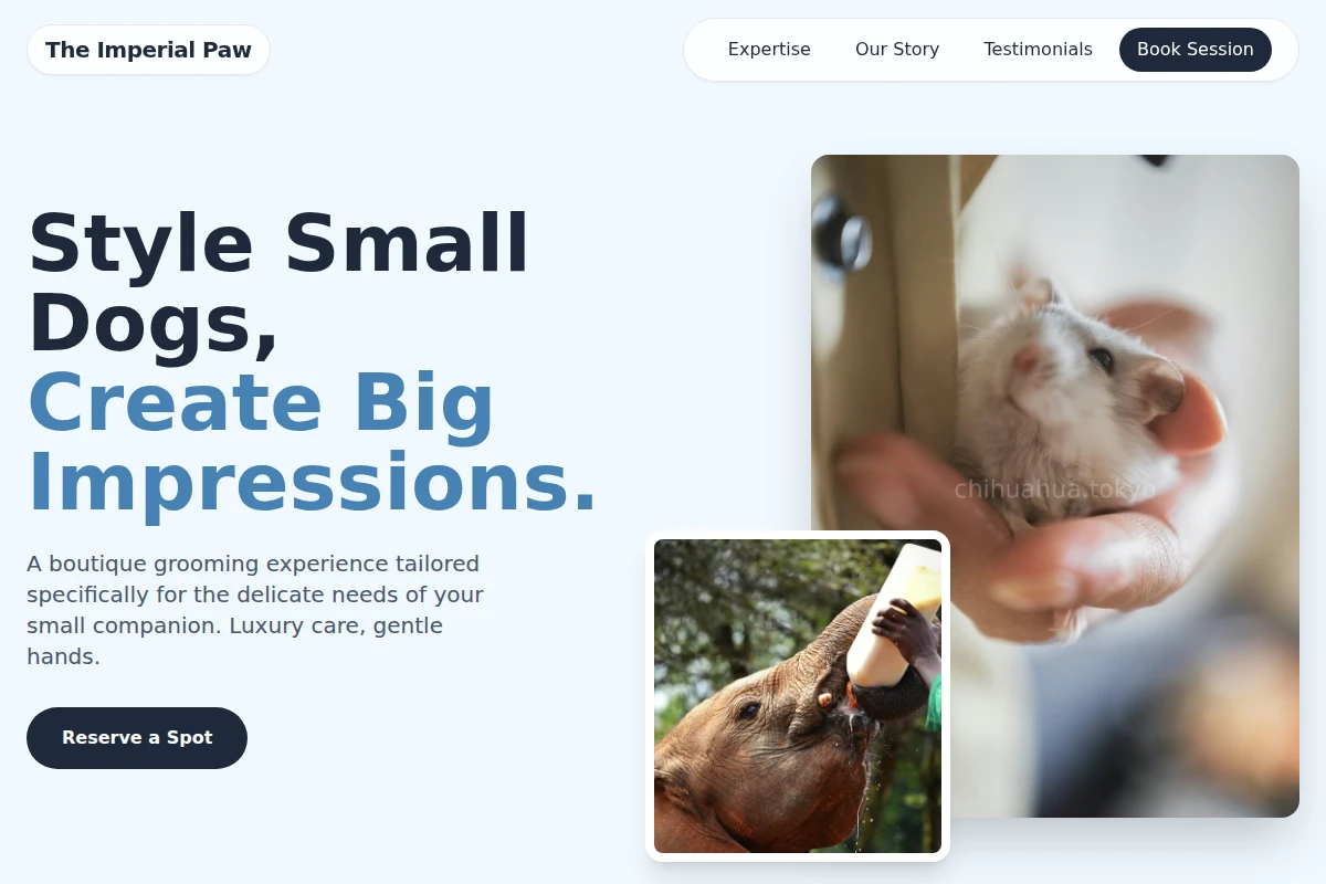 Groom Animal Care