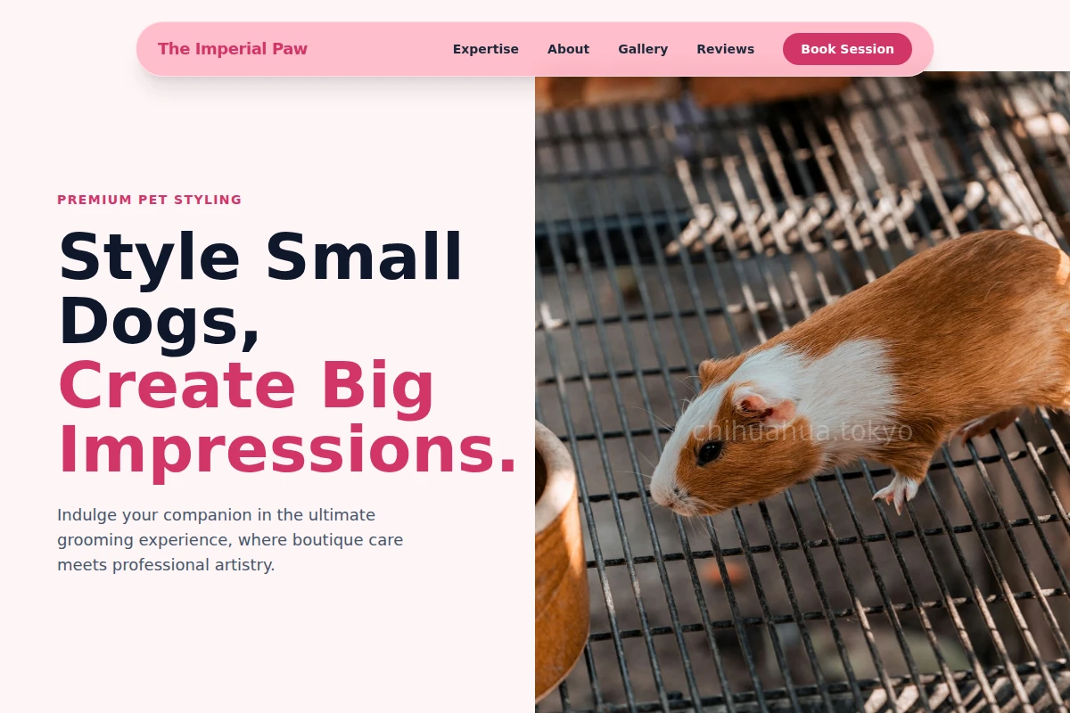 Coat Animal Care