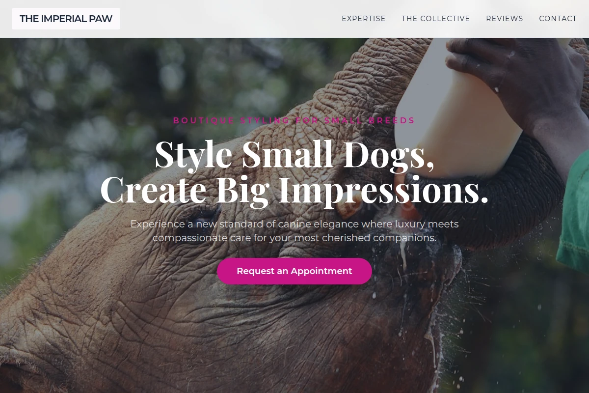 Ribbon Animal Care