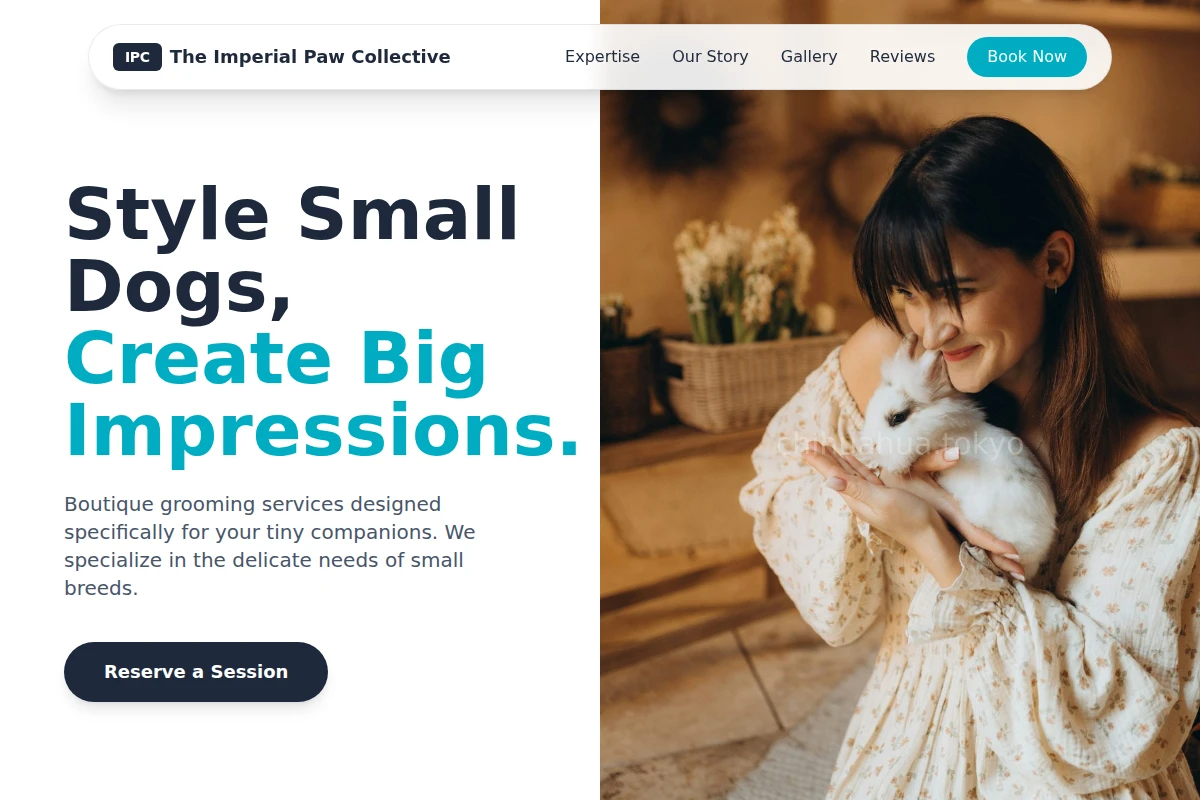 Bow Animal Care