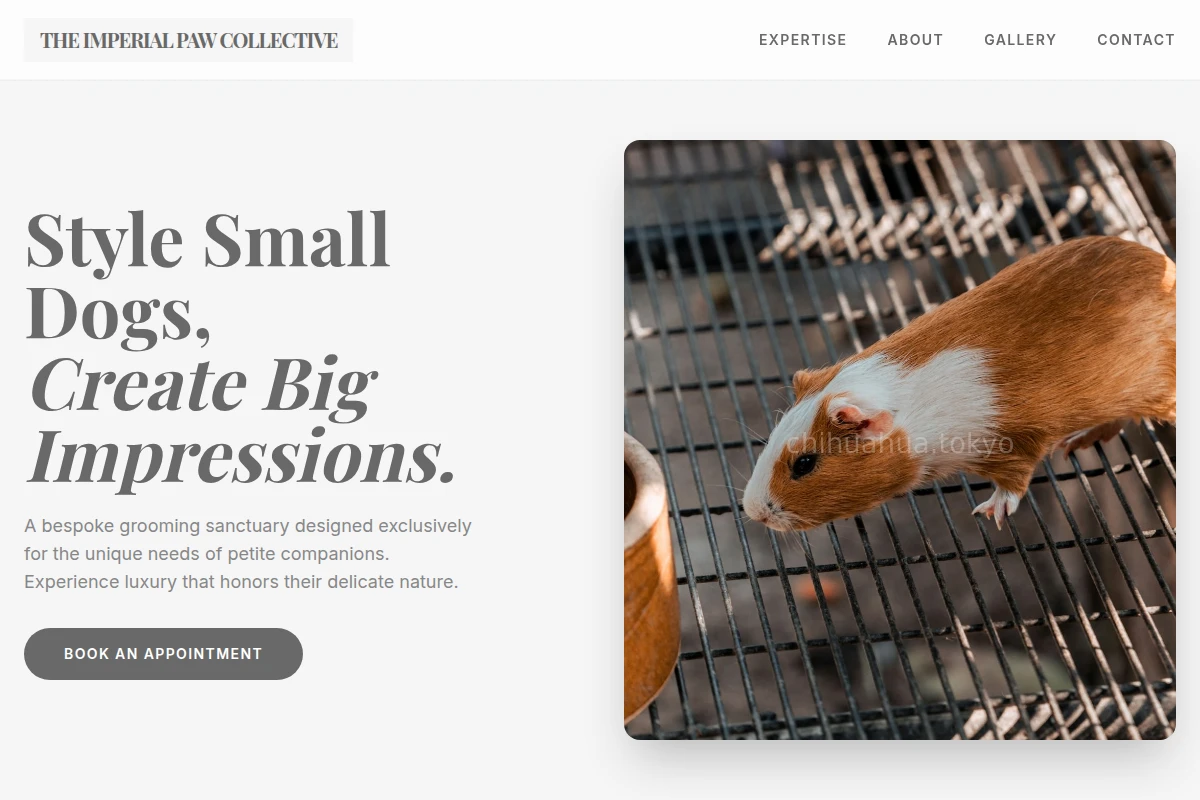 Charm Animal Care