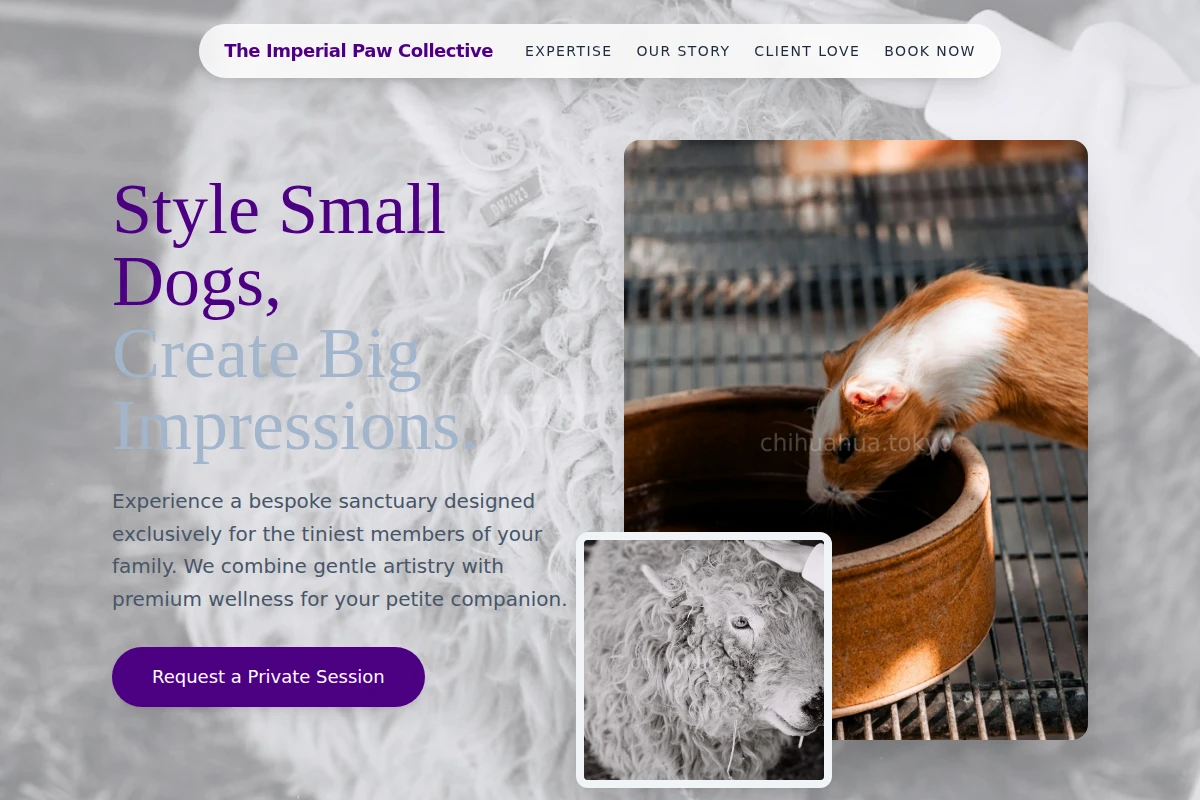 Tiny Animal Care
