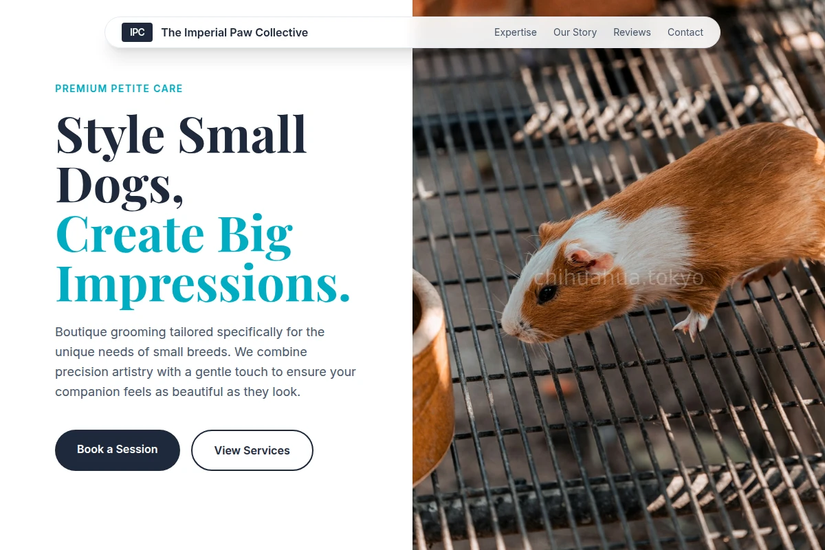 Leash Animal Care