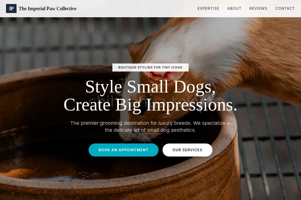 Art Animal Care