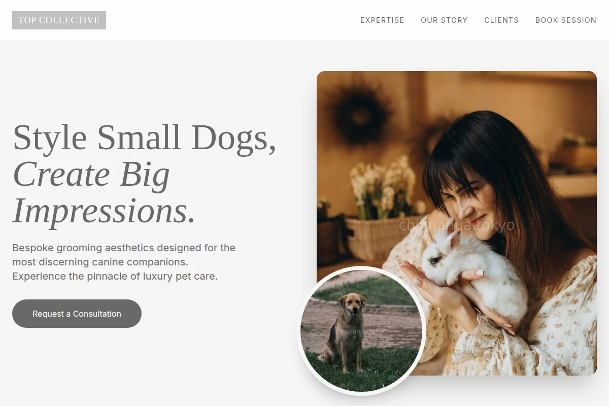 Care Animal Care