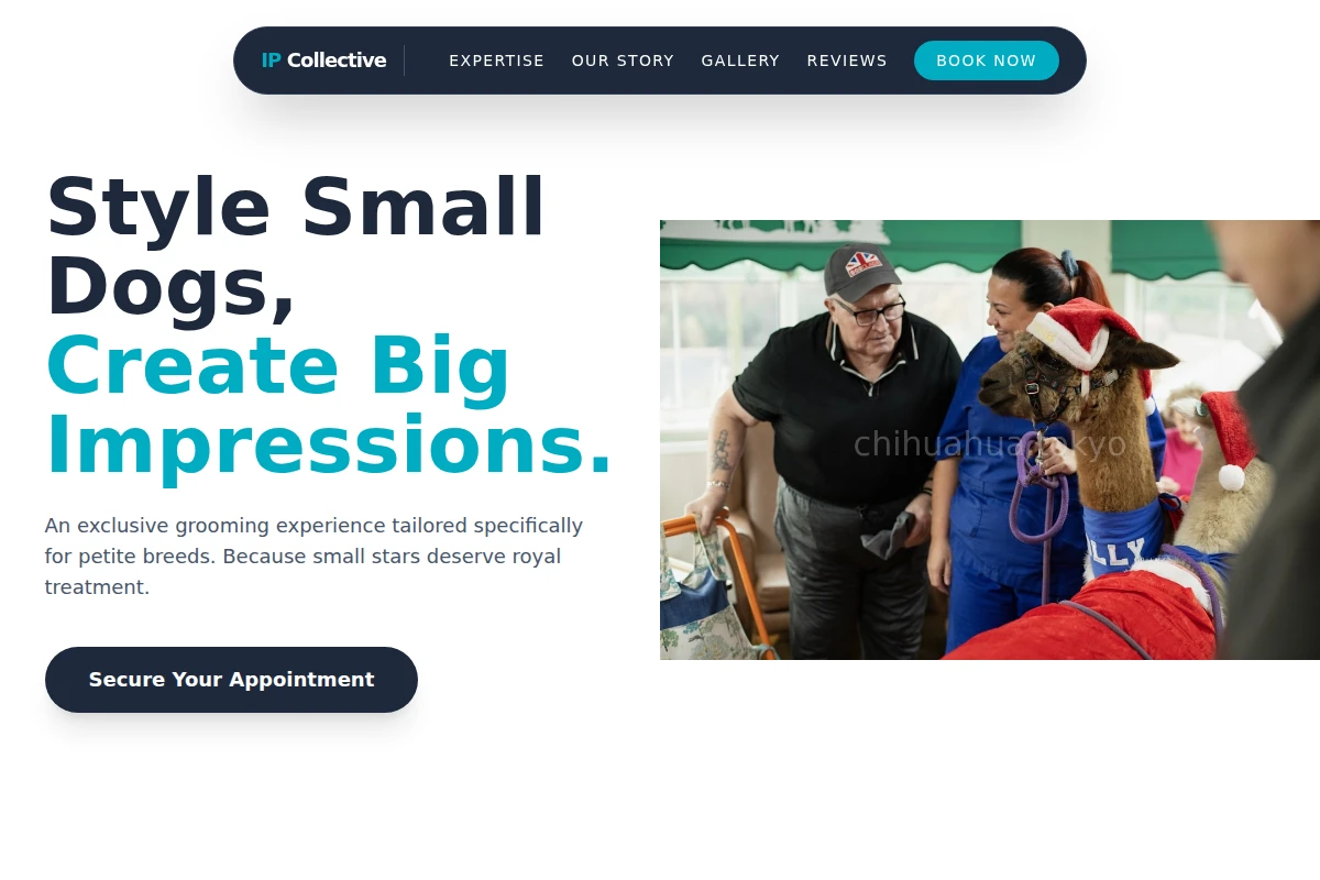 Bow Animal Care