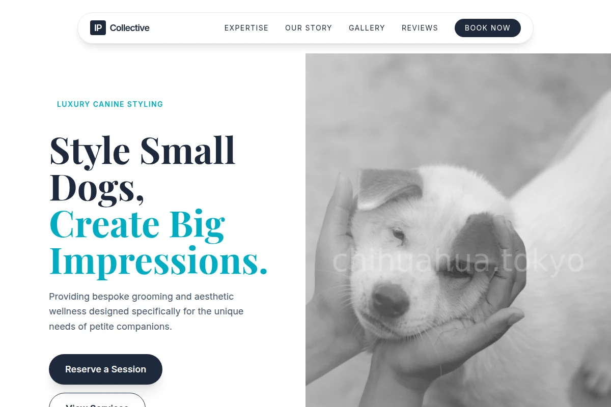 Collar Animal Care