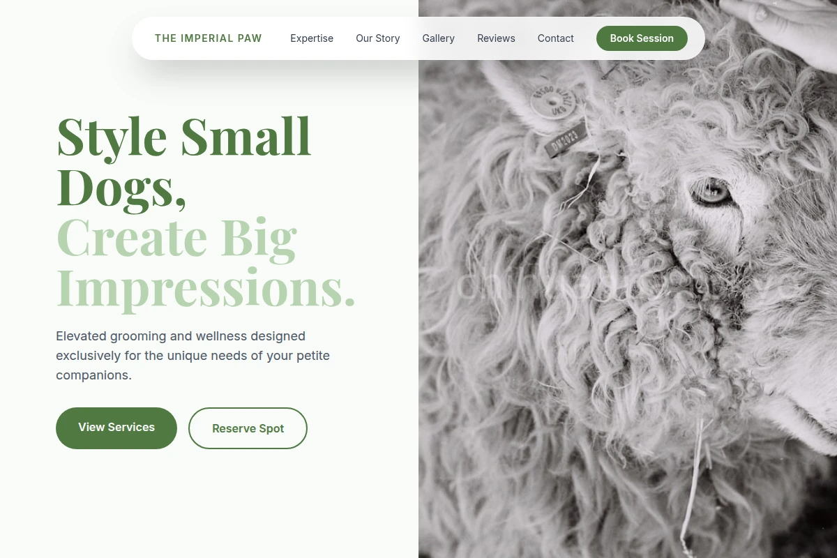 Boutique Animal Care