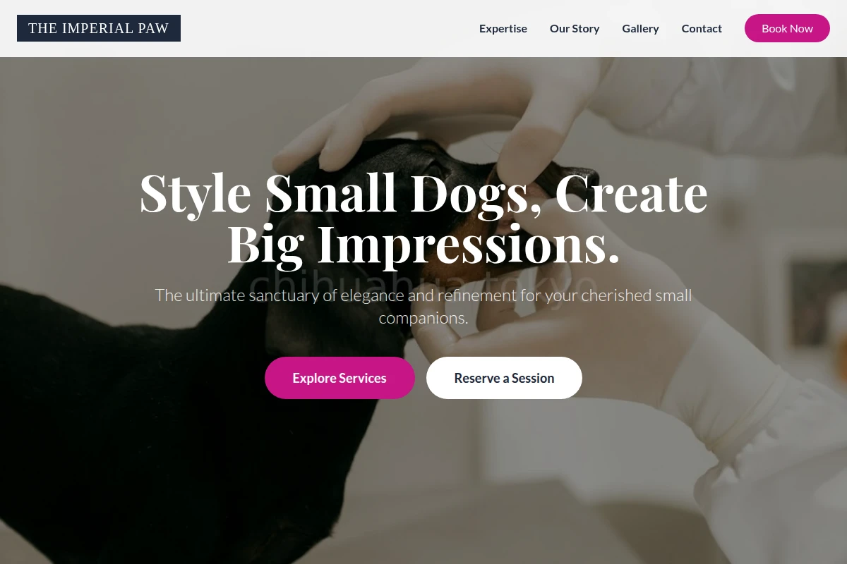 Boutique Animal Care