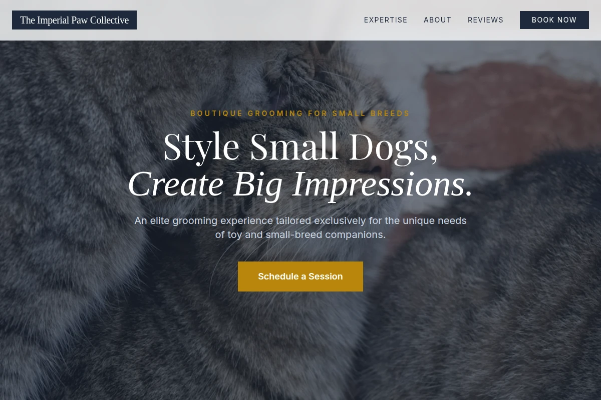 Collar Animal Care