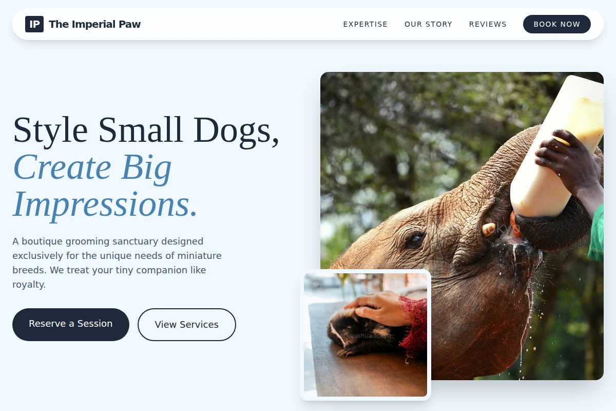 Salon Animal Care