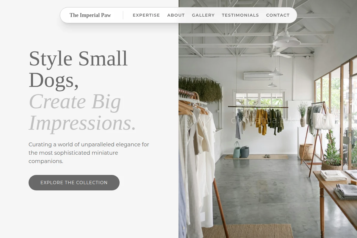 Luxury Boutique