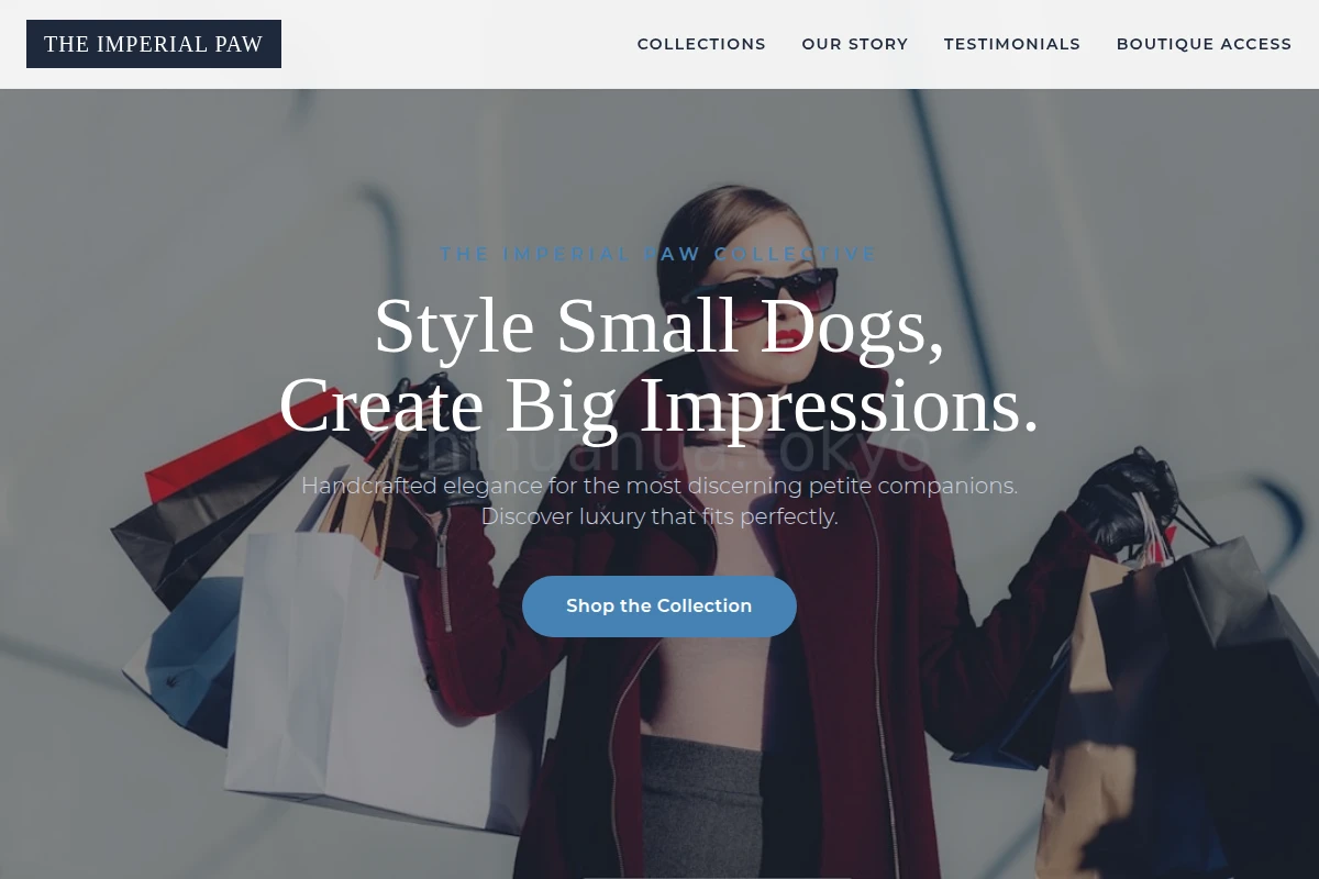Collar Boutique