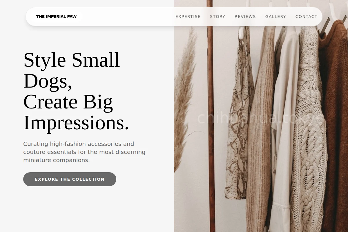 Chic Boutique