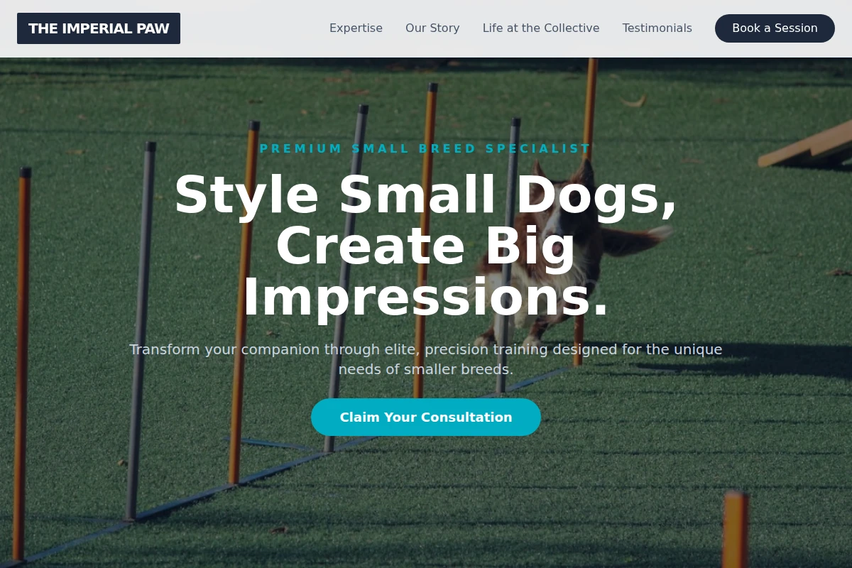 Precision Dog Training