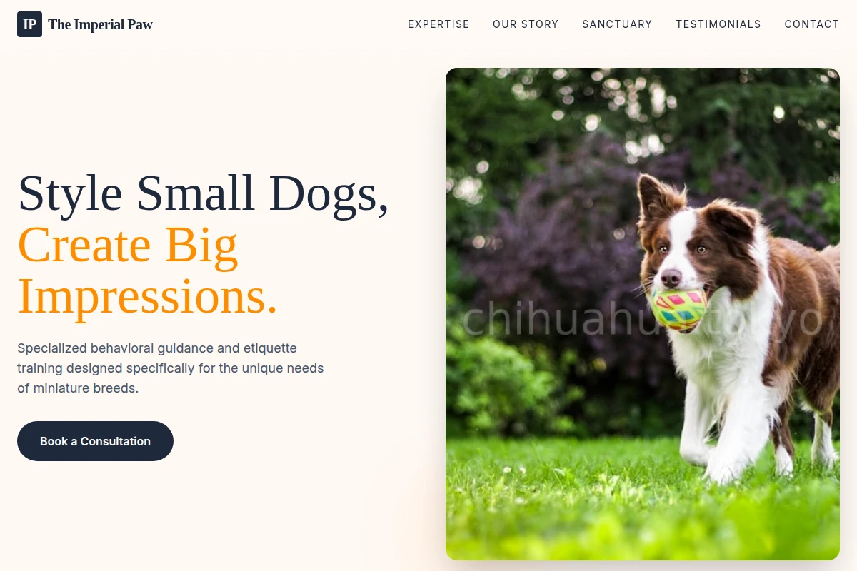 dog-training