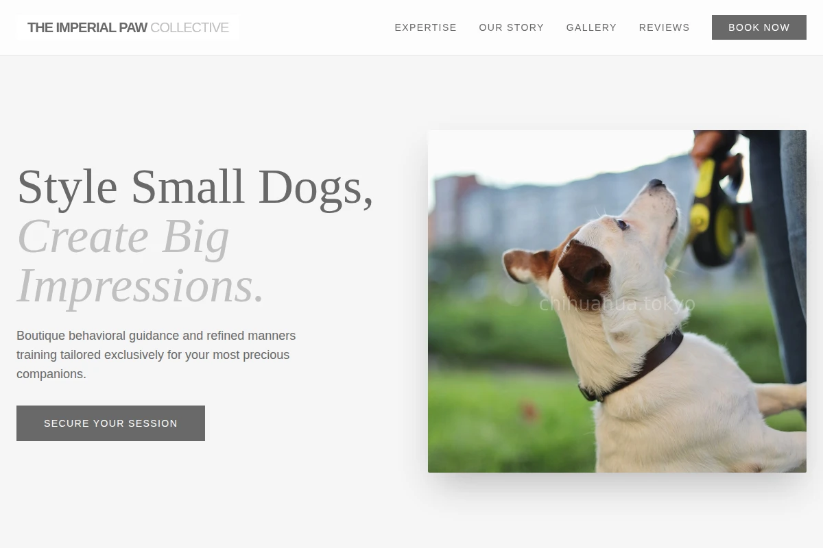 Treat Dog Training