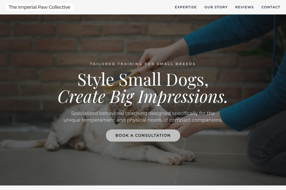 Compact Dog Training