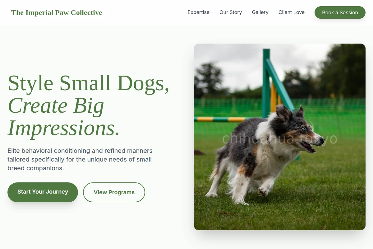 Care Dog Training