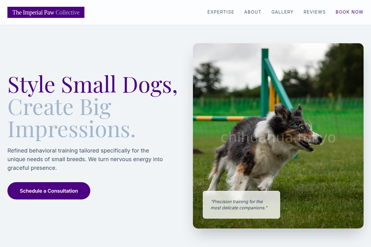 Loyal Dog Training