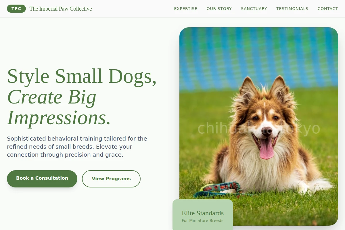 Treat Dog Training