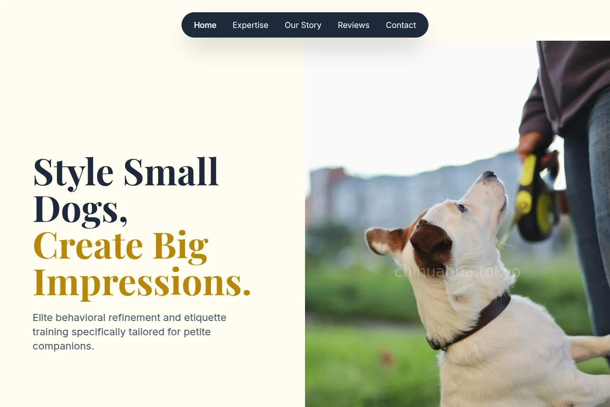 Collar Dog Training