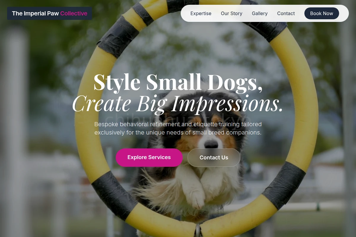 Expert Dog Training