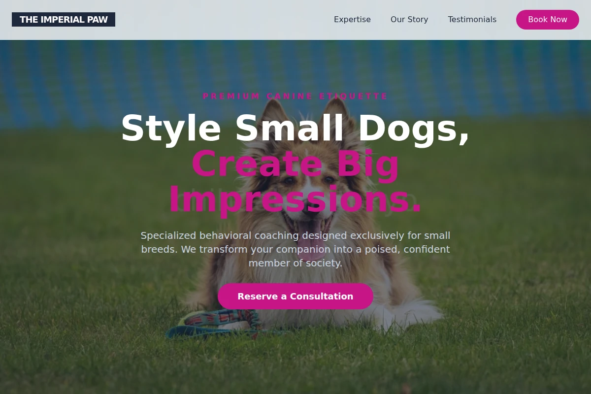 Brush Dog Training
