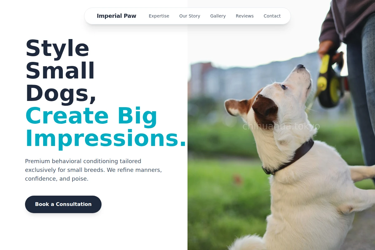 Pure Dog Training