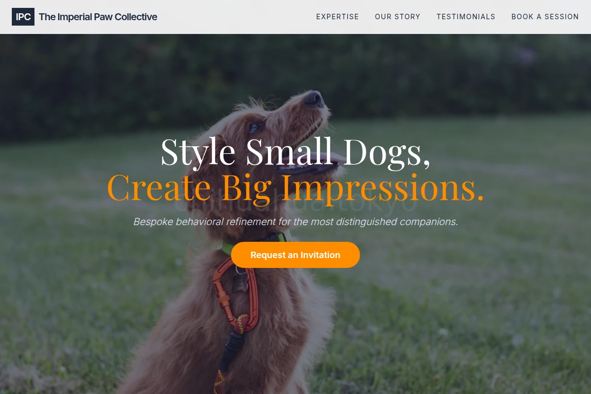 Luxury Dog Training