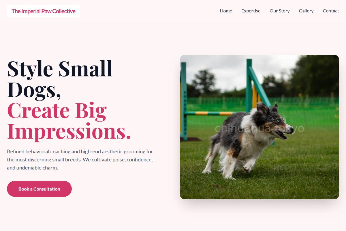 Shampoo Dog Training
