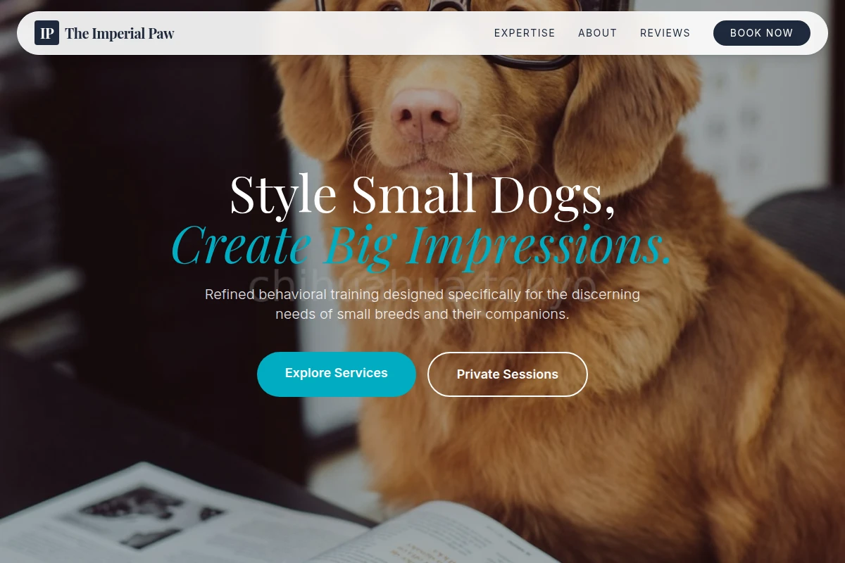 Boutique Dog Training