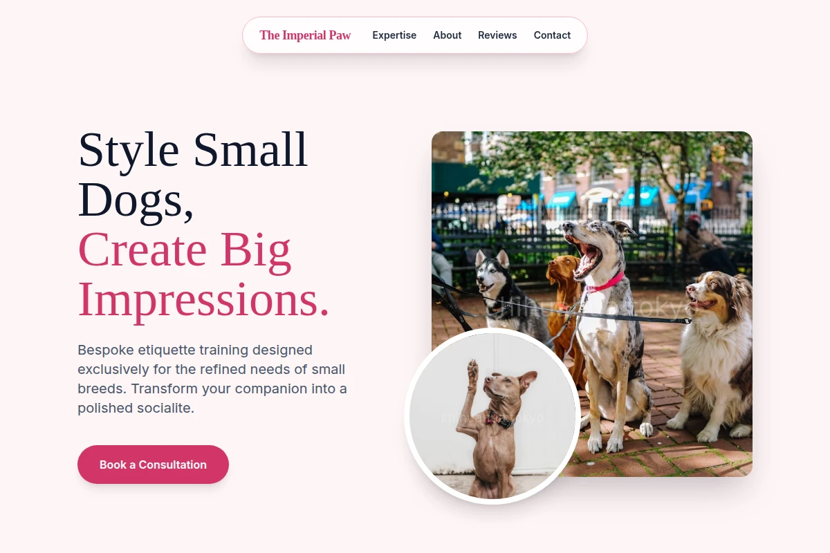 Elite Dog Training