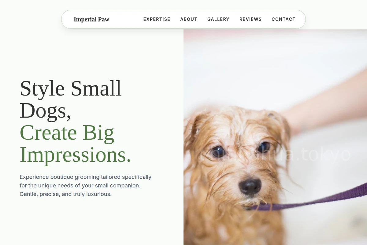 Bond Pet Grooming