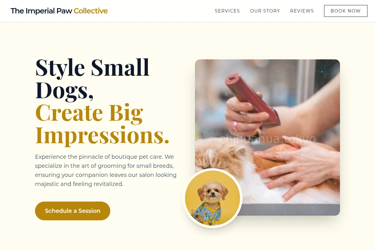 Salon Pet Grooming