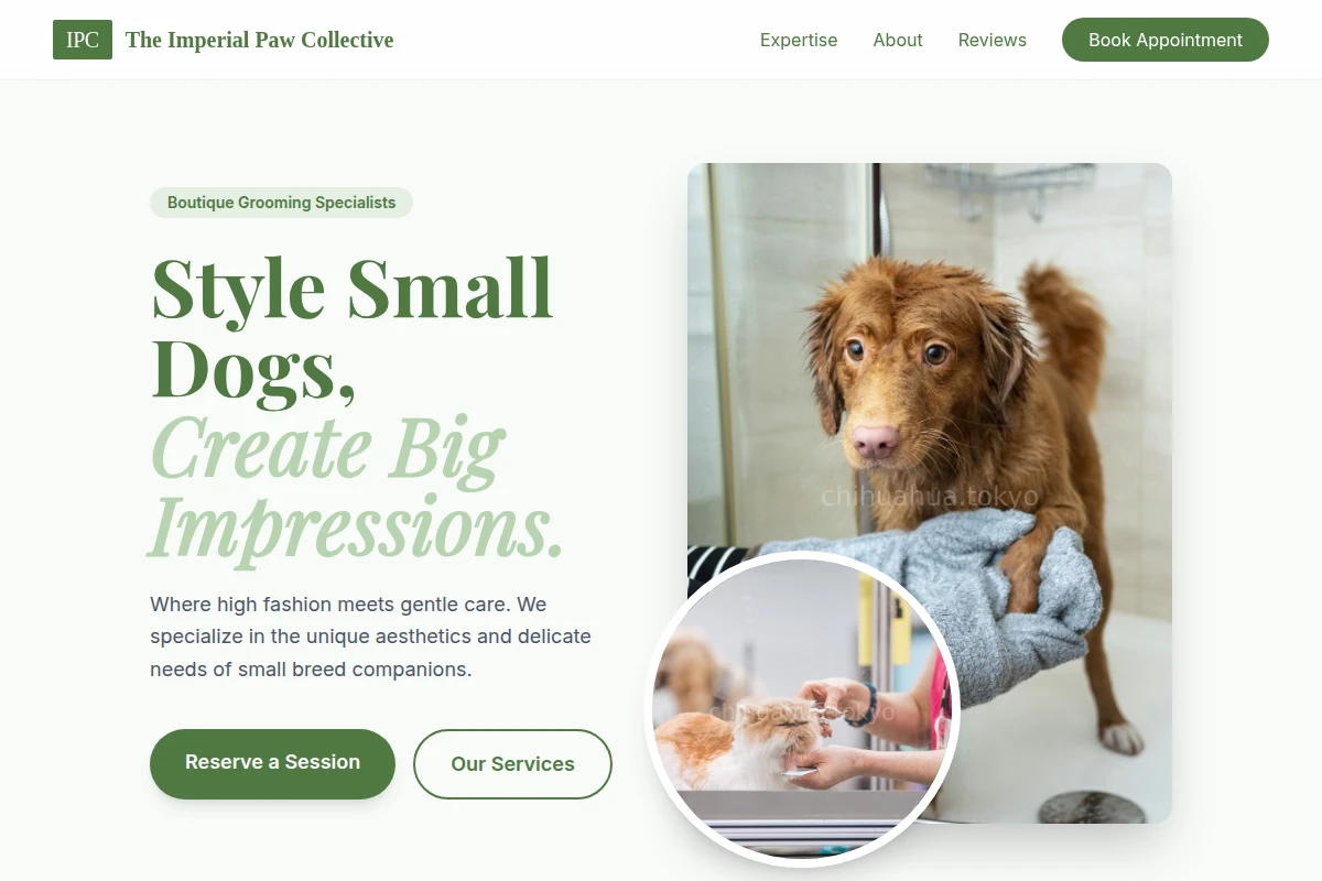 Brush Pet Grooming