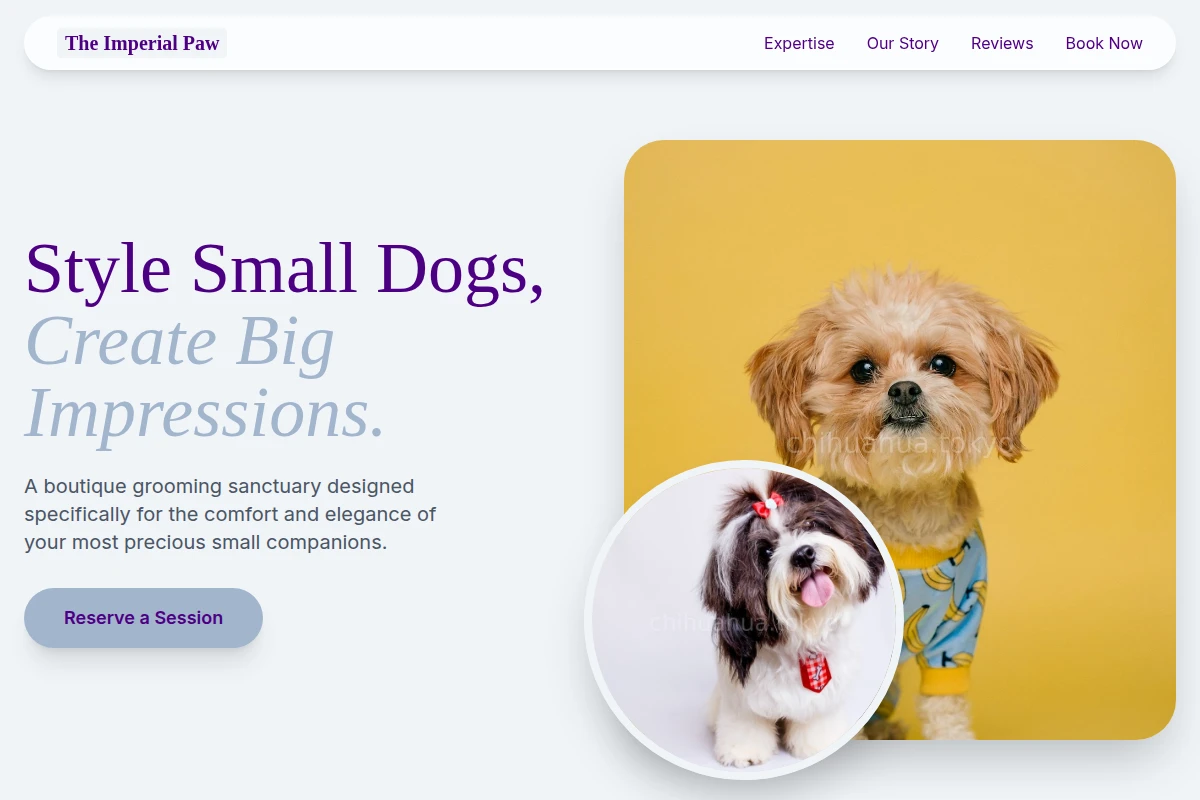 Style Pet Grooming