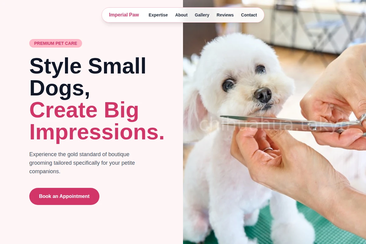 Detail Pet Grooming